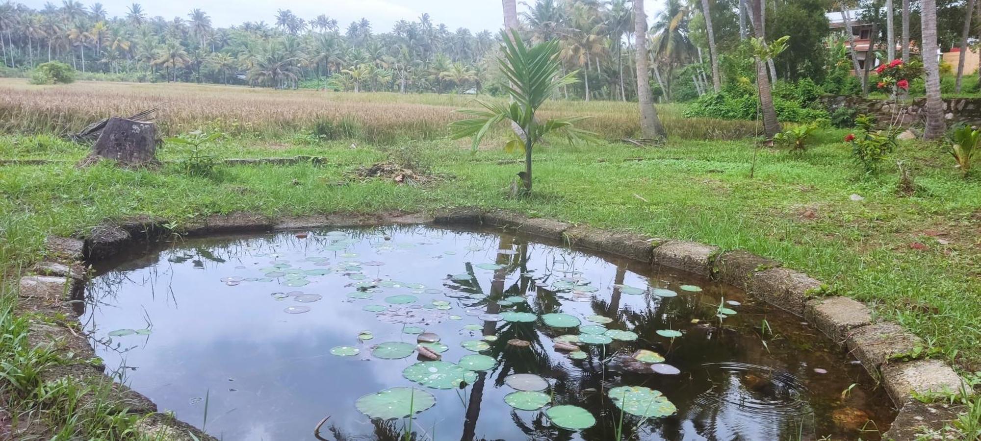 Paddy Farm Beach Resort Odayam Varkala Exterior foto