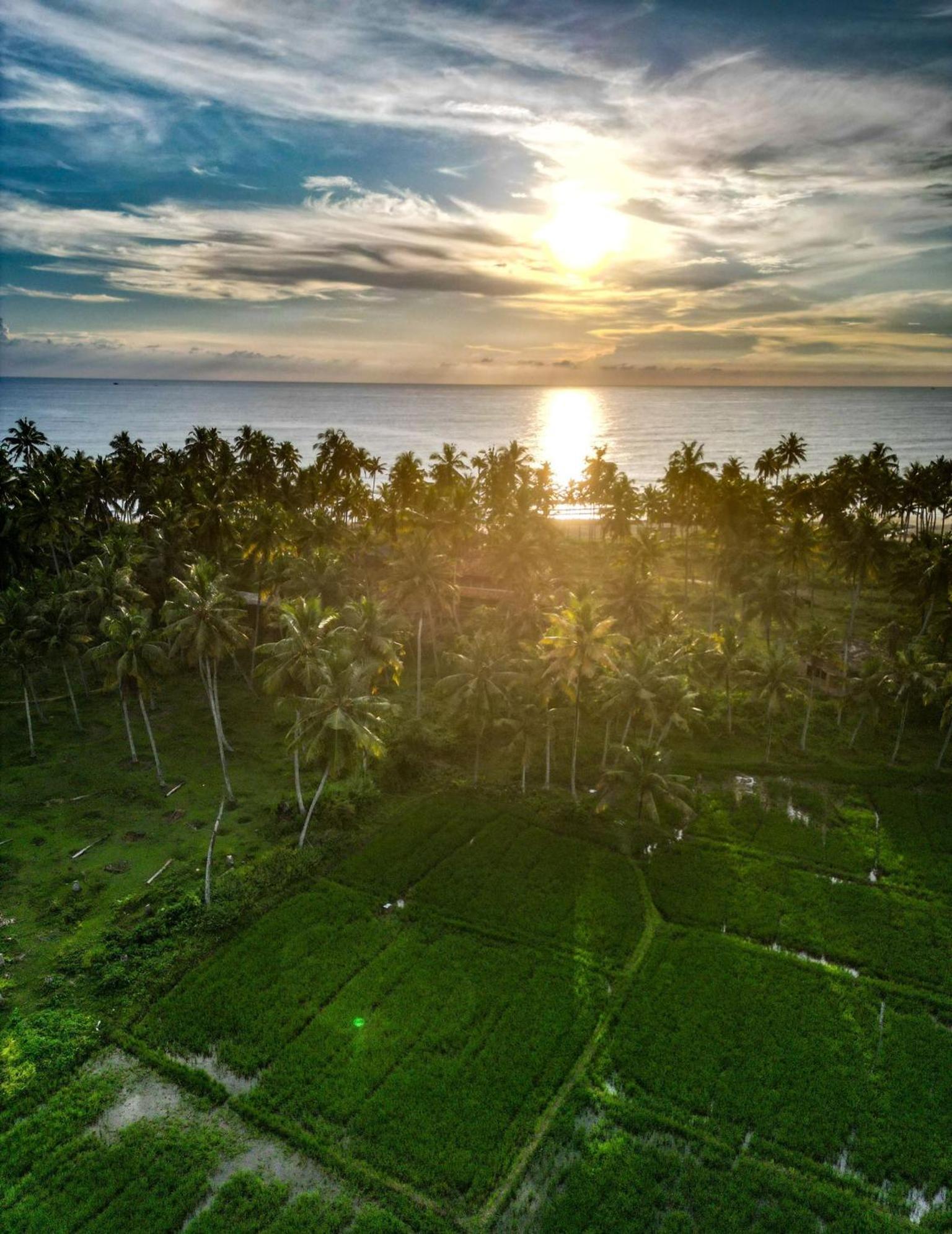 Paddy Farm Beach Resort Odayam Varkala Exterior foto